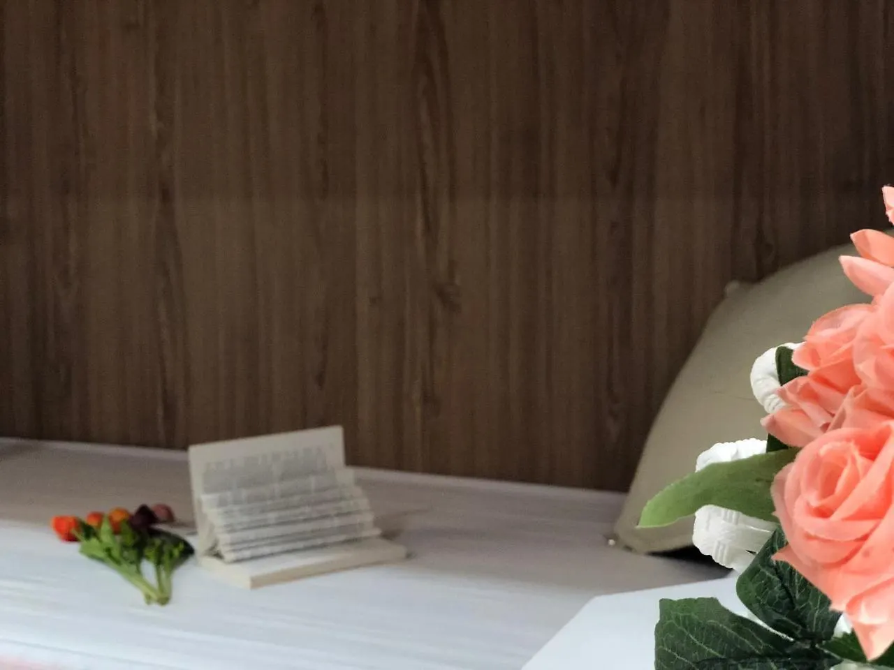 Aalo Hostel Vung Tau 0*,  Vietnam