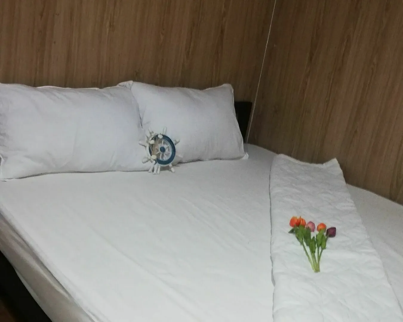 Aalo Hostel Vung Tau Campsite
